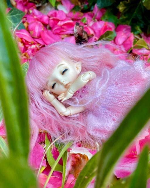 Found a sleepy fairy in my garden 🧚