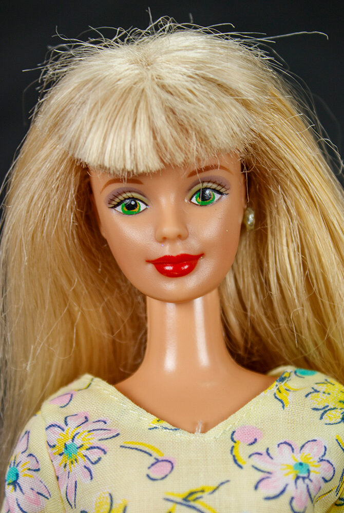 Barbie Princesse Velours