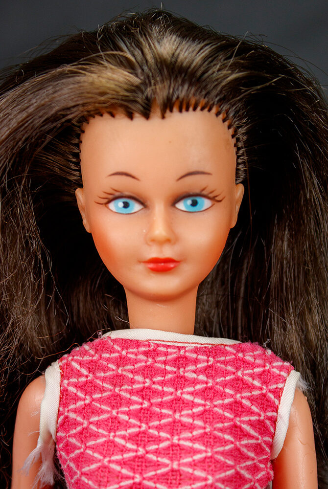 Tressy cheveux longs
